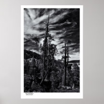 Lake Tahoe Beauty Poster