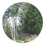 Lake Tahoe stickers