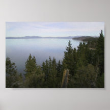 Lake Tahoe With Pine Trees Posters