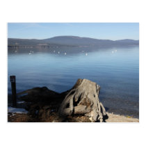 Lake Thaoe Postcard postcards