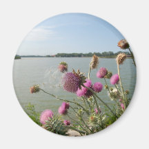 LAKE THISTLE MAGNET