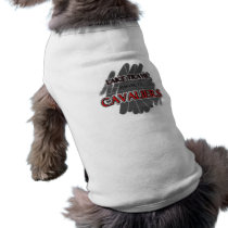 Lake Travis High School Cavaliers - Austin, TX Pet Clothes