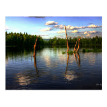 Lake Umbagog Postcard