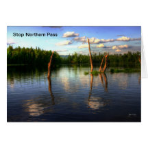 Lake Umbagog Stamp, Card, Poster, Print