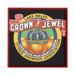 Lake Wales Crown Jewel Orange Fridge Magnets
