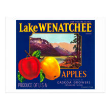 Lake Wenatchee Apple Label (blue) - Cashmere, WA Post Card