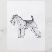 Lakeland Terrier Flyer