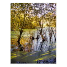 LAKES POST CARD