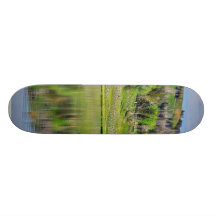 Lakes Reflections Skate Boards