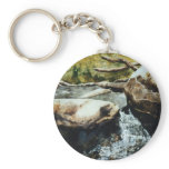 Lakes, Rivers and Streams Keychain