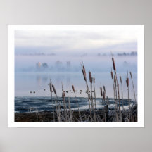 Lakeside Cattails In Morning Fog Posters