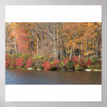 Lakeside View- L #1 Print