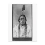 Lakota American Indian Chief Sitting Bull Postcards