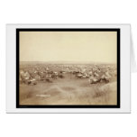 Lakota Indian Camp Pine Ridge SD 1891 Greeting Card
