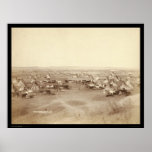 Lakota Indian Camp Pine Ridge SD 1891 posters
