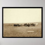 Lakota Indian Skinning Cow at Beef Issue Poster