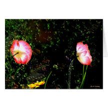 L'allumer du s de Peut Carte