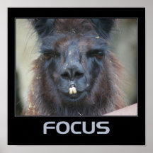 Lama intense d'affiche de motivation de foyer