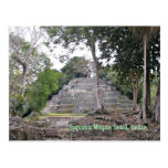 Lamanai Mayan Ruins Belize Postcard
