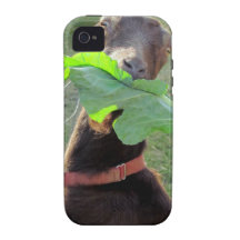 Lamancha Goat iPhone 4 Case
