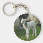Lamb 2012 - Cianna Key Chain