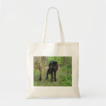 Lamb 2012 - Fanfreluche Canvas Bags