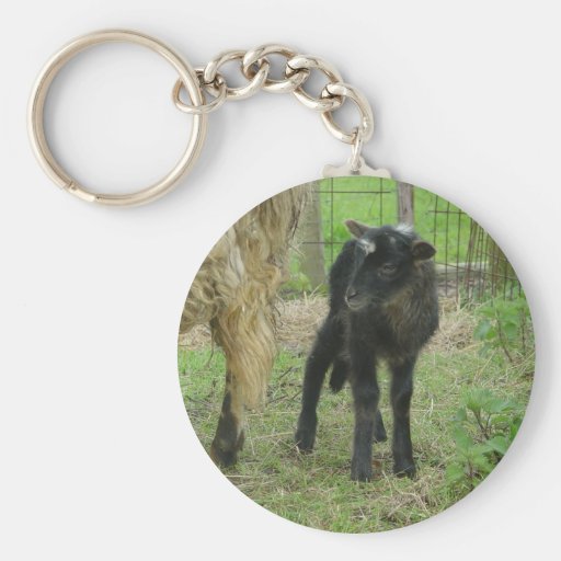 Lamb 2012 - Fanfreluche Keychains