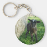 Lamb 2012- Poddys Keychain