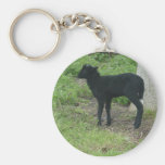 Lamb 2012 - Ravenko Keychains