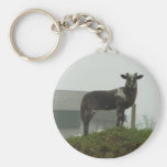 Lamb 2012 - Shimo Keychain