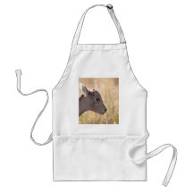 Lamb Aprons
