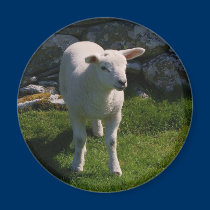 Lamb magnets