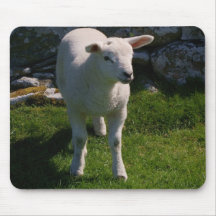 Lamb Mousepads