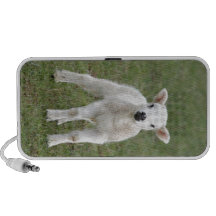 Lamb Mp3 Speaker