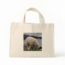 Lamb on remote wild south devon coastline bag