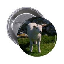 Lamb Pin