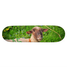 Lamb Skate Boards