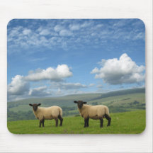 Lambs Mouse Pad