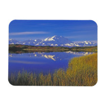 L'Amérique du Nord, Etats-Unis, Alaska, Denali NP, Magnet En Vinyle