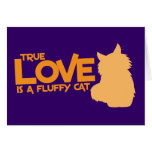 L'AMOUR VRAI est un chat pelucheux Cartes De Vœux
