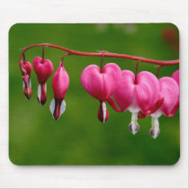 Lamprocapnos spectabilis mousepads