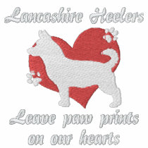 Lancashire Heelers Leave Paw Prints
