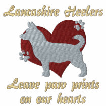 Lancashire Heelers Leave Paw Prints