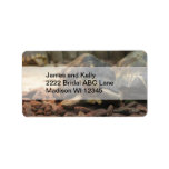 Land Turtle Labels