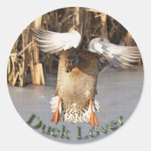 Landing Female Mallard Duck Bird Wildlife Sticker