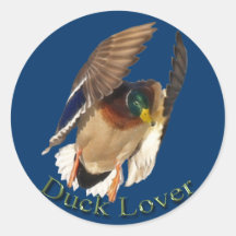 Landing Mallard Duck Drake Bird Wildlife Sticker