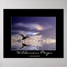 Landing Mallard Duck Wilderness Magic Photo Print