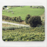 Landscape and farm, Tuscany, Italy Europe Mouse Pad