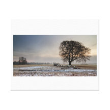 Landscape canvas print