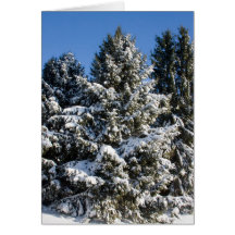 Landscape Christmas Cards